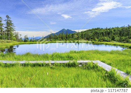 夏の尾瀬　鳩待峠〜横田代〜アヤメ平〜富士見峠 117147787