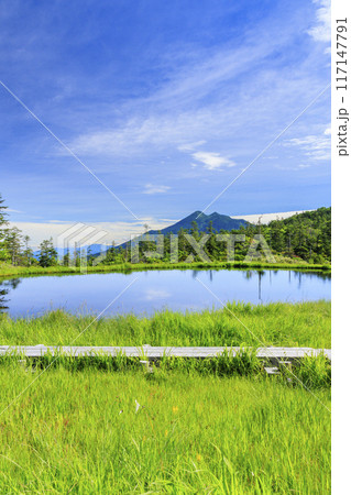 夏の尾瀬　鳩待峠〜横田代〜アヤメ平〜富士見峠 117147791