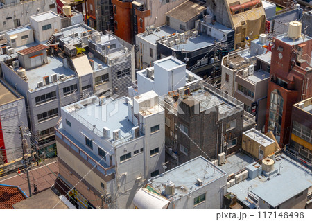 鹿児島県の天文館の風景　空から見た鹿児島市内　 117148498