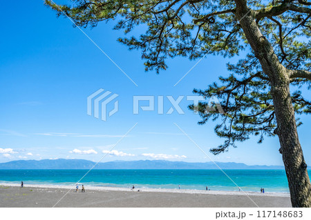 三保松原 日本三大松原と青い海の白波 世界文化遺産 日本新三景 国の名勝 三保松原 日本三大松原と青い海の白波 世界文化遺産 日本新三景 国の名勝 117148683