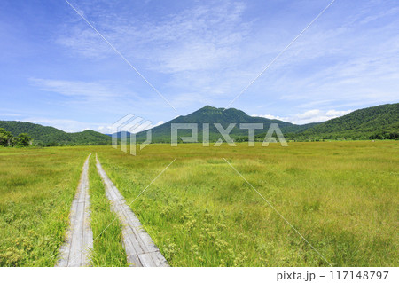 夏の尾瀬　尾瀬ヶ原 117148797