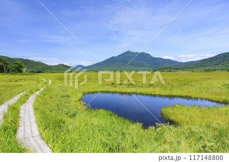 夏の尾瀬　尾瀬ヶ原 117148800