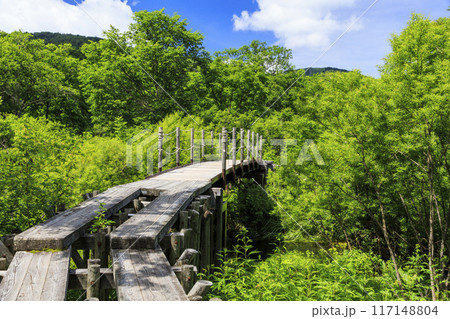 夏の尾瀬　尾瀬ヶ原 117148804