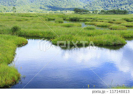 夏の尾瀬　尾瀬ヶ原 117148813