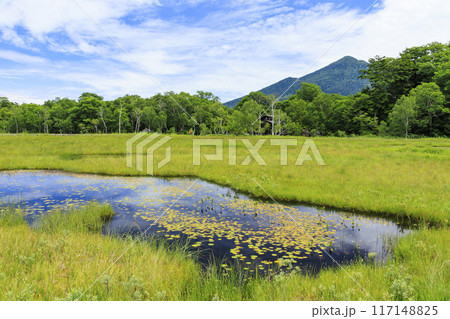 夏の尾瀬 尾瀬ヶ原 夏の尾瀬 尾瀬ヶ原 117148825