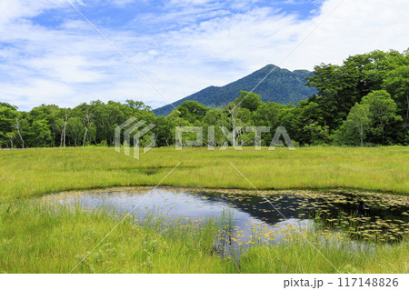 夏の尾瀬　尾瀬ヶ原 117148826