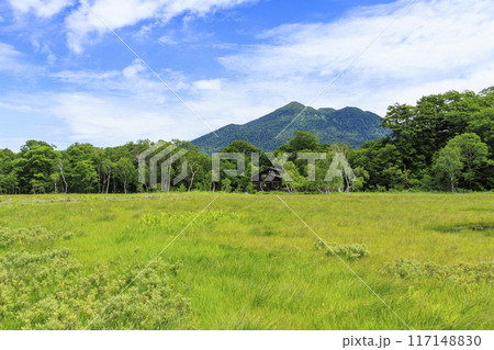夏の尾瀬 尾瀬ヶ原 夏の尾瀬 尾瀬ヶ原 117148830