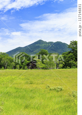 夏の尾瀬 尾瀬ヶ原 夏の尾瀬 尾瀬ヶ原 117148831