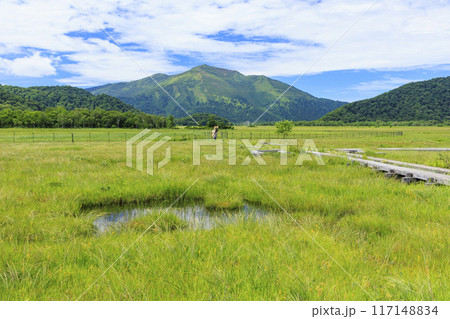 夏の尾瀬　尾瀬ヶ原 117148834