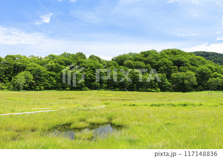 夏の尾瀬 尾瀬ヶ原 夏の尾瀬 尾瀬ヶ原 117148836