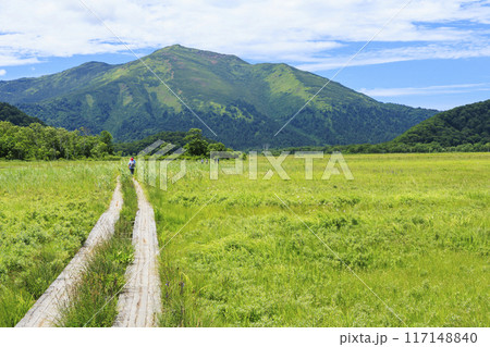 夏の尾瀬 尾瀬ヶ原 夏の尾瀬 尾瀬ヶ原 117148840
