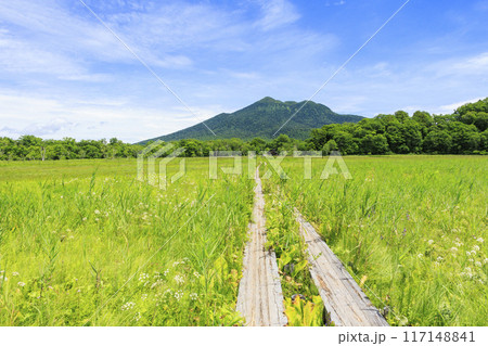 夏の尾瀬　尾瀬ヶ原 117148841