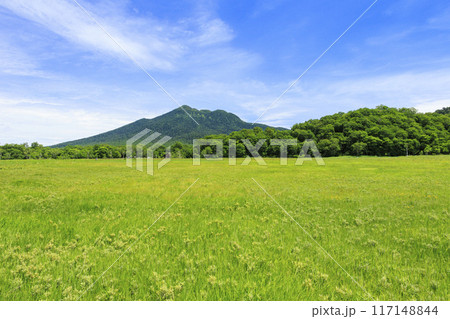 夏の尾瀬　尾瀬ヶ原 117148844