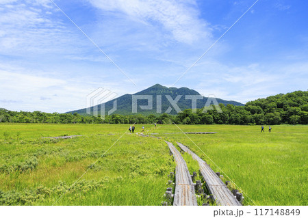 夏の尾瀬 尾瀬ヶ原 夏の尾瀬 尾瀬ヶ原 117148849