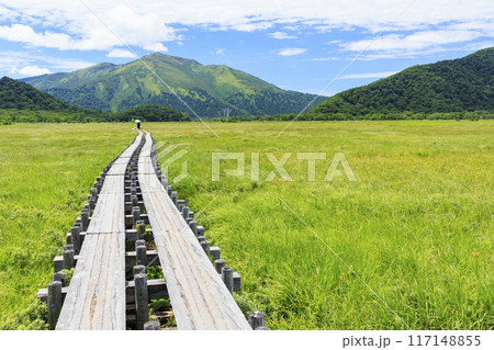 夏の尾瀬 尾瀬ヶ原 夏の尾瀬 尾瀬ヶ原 117148855