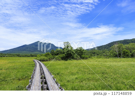 夏の尾瀬　尾瀬ヶ原 117148859