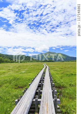 夏の尾瀬　尾瀬ヶ原 117148861