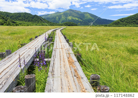 夏の尾瀬 尾瀬ヶ原 夏の尾瀬 尾瀬ヶ原 117148862