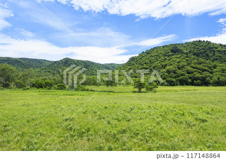 夏の尾瀬 尾瀬ヶ原 夏の尾瀬 尾瀬ヶ原 117148864