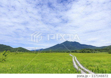 夏の尾瀬 尾瀬ヶ原 夏の尾瀬 尾瀬ヶ原 117148872