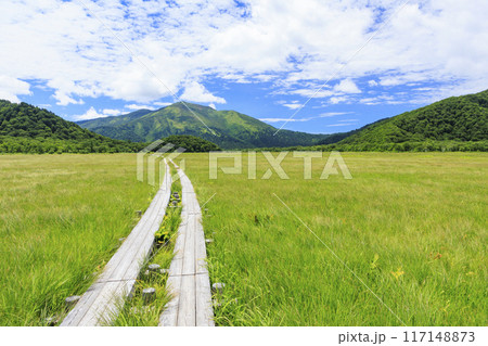 夏の尾瀬 尾瀬ヶ原 夏の尾瀬 尾瀬ヶ原 117148873