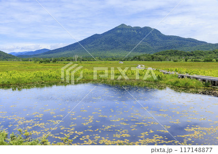 夏の尾瀬　尾瀬ヶ原 117148877