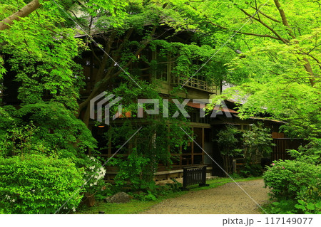 岩手県 新緑の風景 岩手県 新緑の風景 117149077