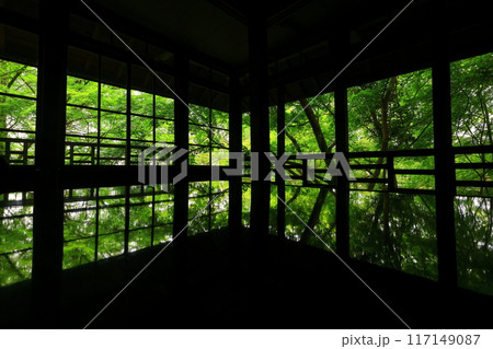 岩手県 新緑の風景 岩手県 新緑の風景 117149087