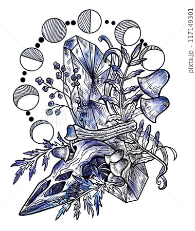 Styled vintage illustration with mystic mushrooms magic and floral elements 117149301