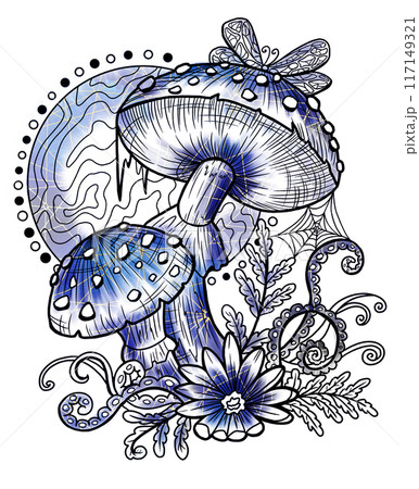 Styled vintage illustration with mystic mushrooms, magic and floral decorative elements, witchcraft symbols isolated on white. Esoteric and witchy concept, tattoo art Styled vintage illustration with mystic mushrooms, magic and floral decorative elements, witchcraft symbols isolated on white. Esoteric and witchy concept, tattoo art 117149321
