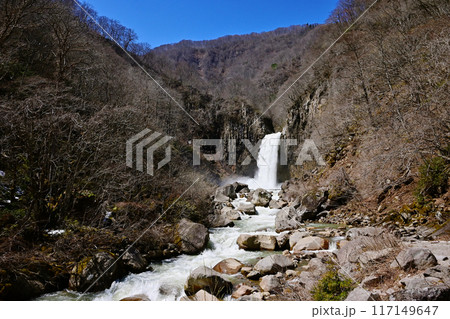 雪解け水が流れる苗名滝　新潟県観光名所　日本の滝百選　妙高高原自然歩道 117149647