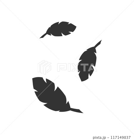 黒い　羽 117149837