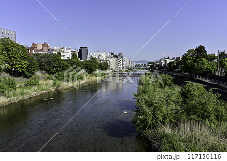 犀川の春景色 犀川の春景色 117150116