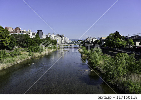 犀川の春景色 犀川の春景色 117150118