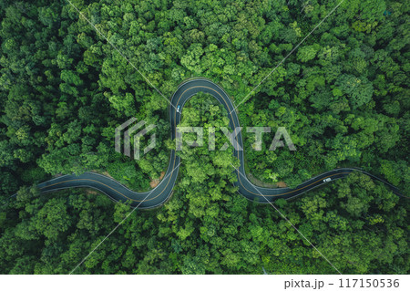 High angle view of winding road in green forest, green transportation and nature conservation. High angle view of winding road in green forest, green transportation and nature conservation. 117150536