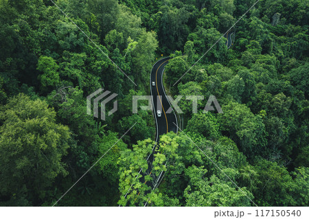 High angle view of winding road in green forest, green transportation and nature conservation. High angle view of winding road in green forest, green transportation and nature conservation. 117150540