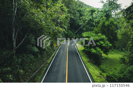 Green forest road, green travel and transportation 117150546
