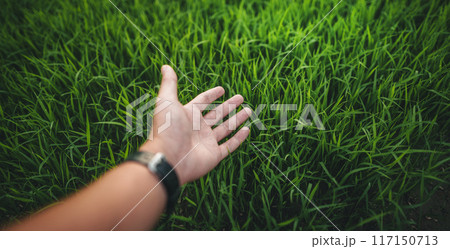 Environment concept, hands touching natural green grass 117150713