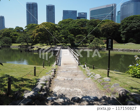 超高層ビル群に囲まれた初夏の浜離宮庭園 超高層ビル群に囲まれた初夏の浜離宮庭園 117150827