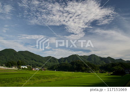 夏空　棚田　青空　白い雲　緑の稲　里山　コピースペース 117151069