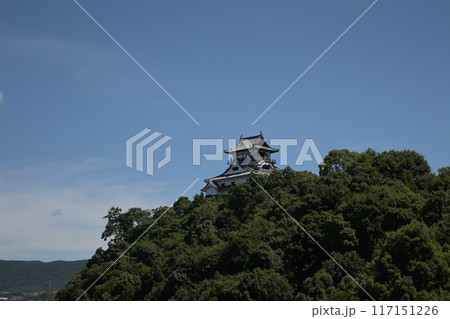 青空の下の犬山城天守閣 117151226
