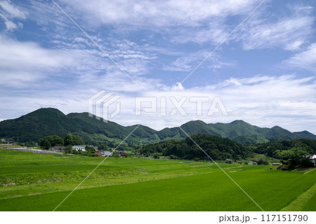 夏空 棚田 青空 白い雲 緑の稲 里山 コピースペース 夏空 棚田 青空 白い雲 緑の稲 里山 コピースペース 117151790