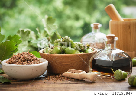 Healthy oak bark in ceramic bowl, infusion or tincture bottle, wooden bowl of acorns. Mortar, green oak leaves on background. Alternative herbal medicine. 117151947