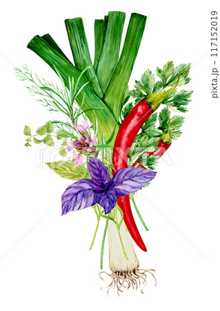 Bouquet of kitchen herbs. Rosemary, thyme, basil, parsley, dill, chili pepper, bay leaf. Spicy herbs, watercolor illustration. Spices of Italian cuisine, composition in Provence style. 117152019