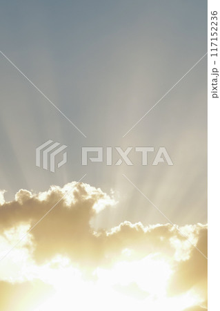 雲の隙間から太陽の光のすじ（縦） 117152236
