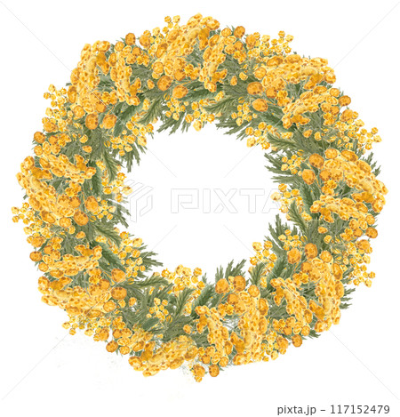 Blue tansy wreath. Wild herb with yellow flowers isolated on white. Hand painted in watercolor. High quality art for cards, packages, essential oil production, oil infusions, labels, rustic decor and 117152479