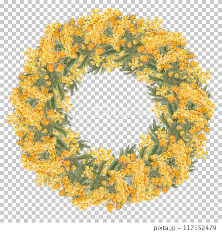 Blue tansy wreath. Wild herb with yellow flowers isolated on white. Hand painted in watercolor. High quality art for cards, packages, essential oil production, oil infusions, labels, rustic decor and 117152479