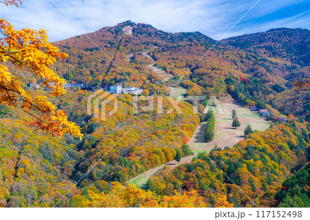 【紅葉素材】志賀高原の紅葉した木々【長野県】 117152498