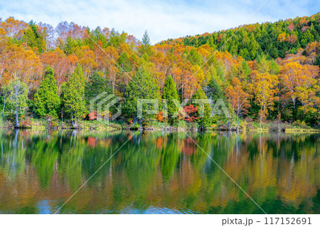【紅葉素材】秋の志賀高原・木戸池の紅葉【長野県】 【紅葉素材】秋の志賀高原・木戸池の紅葉【長野県】 117152691