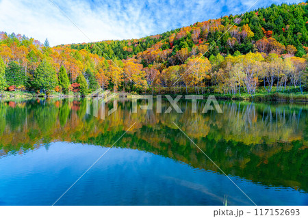 【紅葉素材】秋の志賀高原・木戸池の紅葉【長野県】 【紅葉素材】秋の志賀高原・木戸池の紅葉【長野県】 117152693
